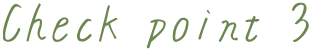 Check point03